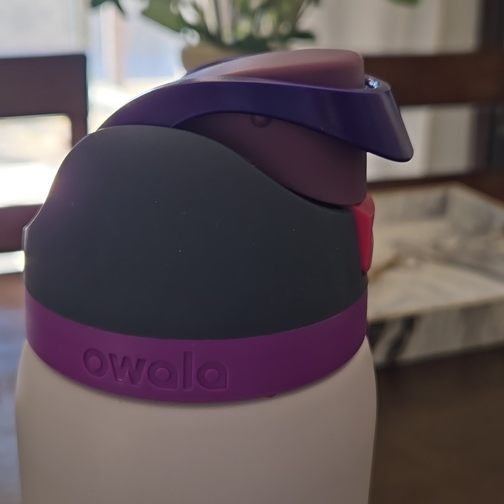 Owala White & Purple Insulated Water Bottle